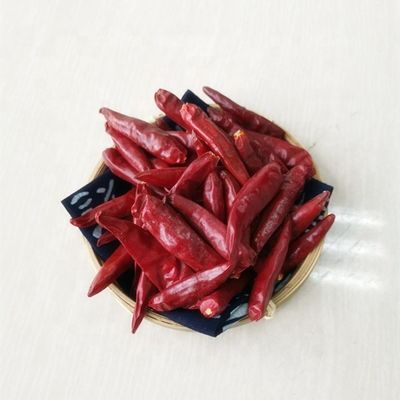 7CM hanno asciugato l'iso rosso lungo di SHU Dehydrated Tianjin Chili dei peperoncini rossi 50000