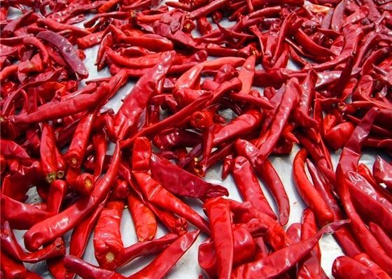 Il cinese Stemless ha asciugato Chili Peppers 819 alto SHU Dried Hot Chillies