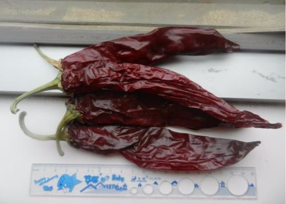 Paprika naturale rosso dolce pepe umidità 14-16% Max 7-19cm