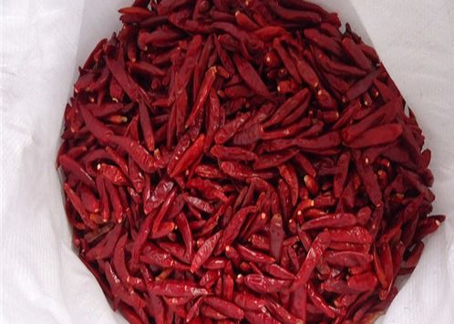 12% di umidità 4-7 cm Peperoncini secchi Peperoncini rossi interi Chaotian