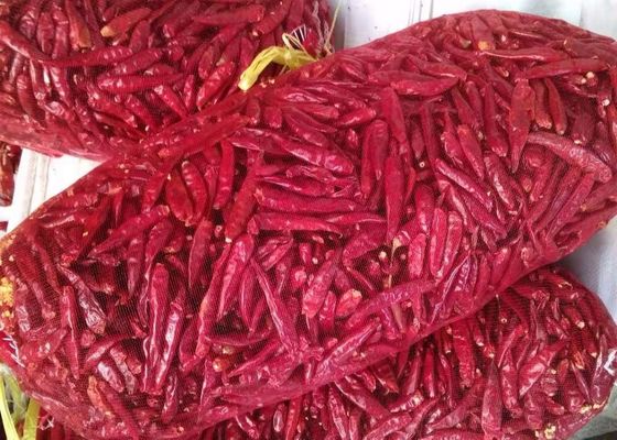 Peperoncini rossi rossi 5000 pungenti SHU Dried Red Chile Pods di SHU 12000 Tientsin