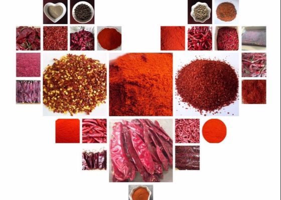 Peperoncini rossi rossi 5000 pungenti SHU Dried Red Chile Pods di SHU 12000 Tientsin