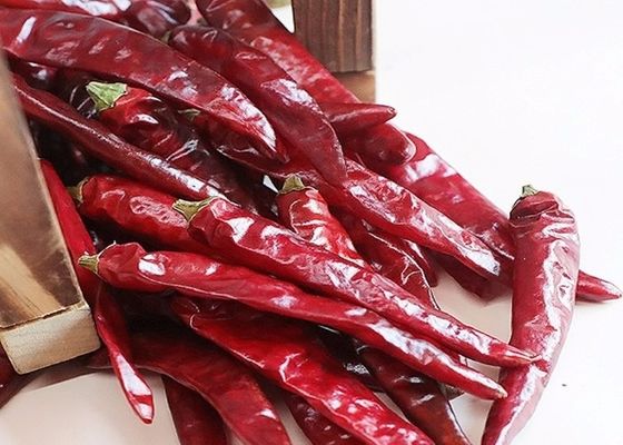25000 peperoncini rossi di SHU Dried Red Chile Peppers Tientsin hanno disidratato le spezie