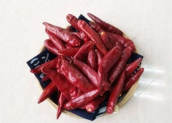 25000 peperoncini rossi di SHU Dried Red Chile Peppers Tientsin hanno disidratato le spezie