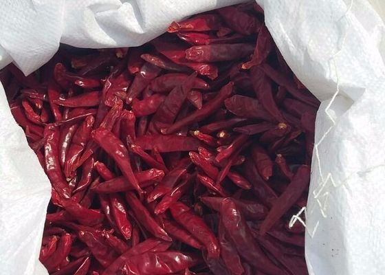 100 g di peperoncini rossi di Tianjin Asiatici asciutti Sapore Sapori autentici