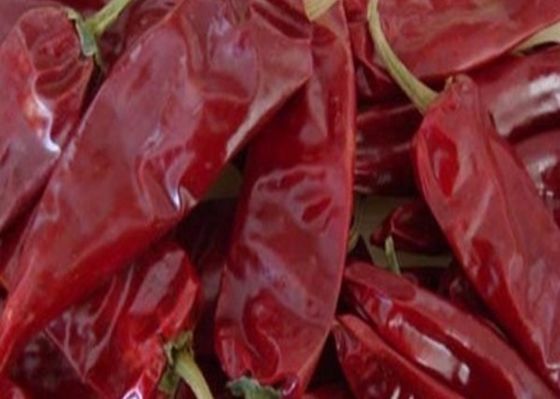 L'ANNUNCIO di 8000 SHU Cherry Red Guajillo Chilis che asciuga i baccelli del Cile Guajillo attacca la forma