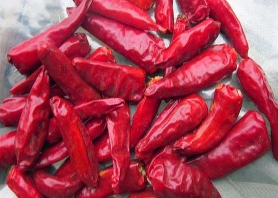 Cielo staccato che affronta i peperoncini rossi rossi asciutti culinari di Chaotian dei peperoncini rossi
