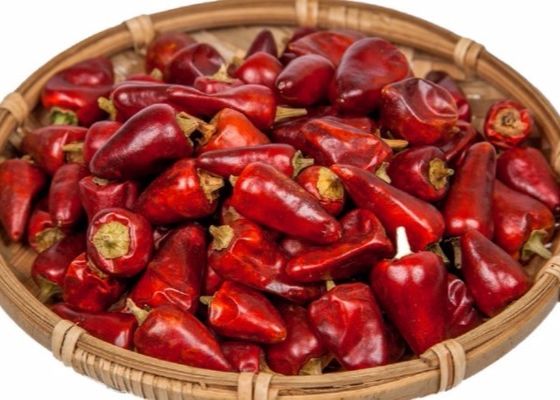I peperoncini rossi rossi Stemless della pallottola hanno disidratato 25000 SHU Dried Spicy Peppers