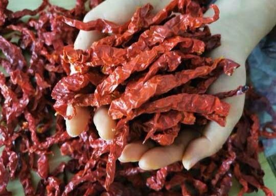Peperoni seccati al sole piccanti 10000SHU di Xian Chilli 15CM di fragranza