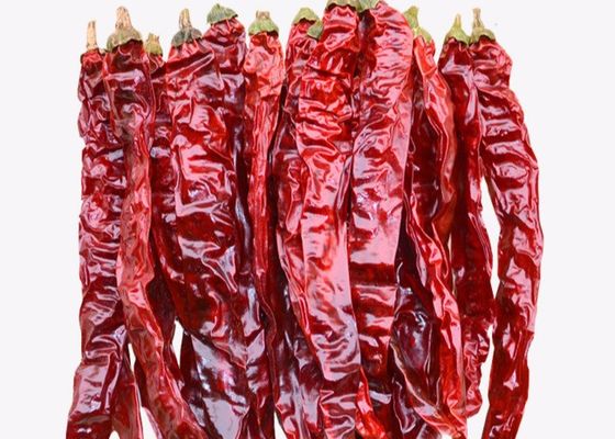 L'ANNUNCIO ha asciugato gli interi peperoncini rossi secchi di Xian Chilli 20CM non irradiati