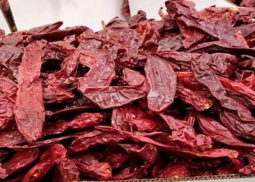 500SHU Rossa calda di Jinta Chilli a gambo per le zuppe Salse