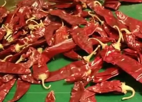 L'ANNUNCIO di 8000 SHU Cherry Red Guajillo Chilis che asciuga i baccelli del Cile Guajillo attacca la forma