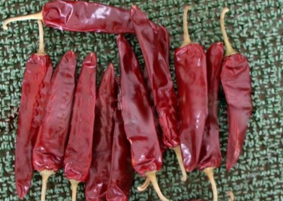 L'alimento messicano ha asciugato il peperoncino rosso 5000 SHU Dried Red Peppers Paprika di Guajillo