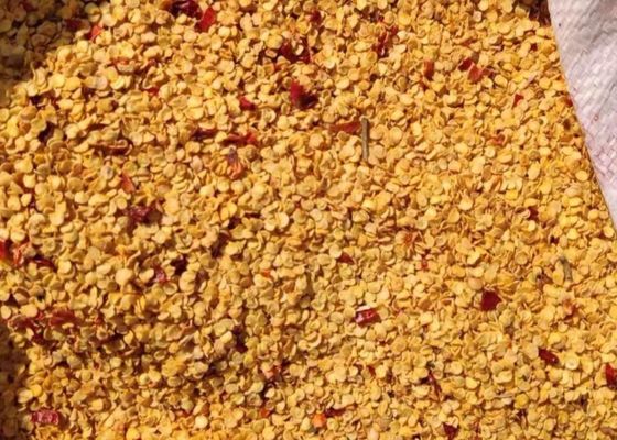 Il granello ha asciugato i peperoncini rossi semina il HACCP di 10PPB 15000 SHU Spicy Pepper Seeds