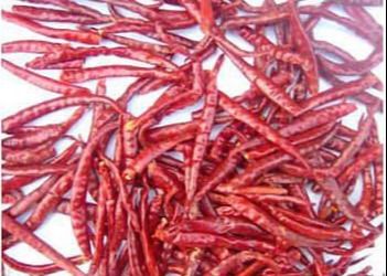 Scopri la versatilità dei peperoni secchi