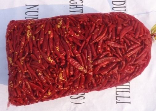 Asiatico secco 7CM Chili Peppers 10000 SHU Dried Long Red Chillies