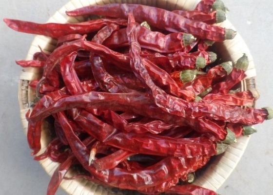 Spezie materiali asciutte di Chili Hot Pot Seasoning Raw del pepe del miglio di Guizhou Mantianxing