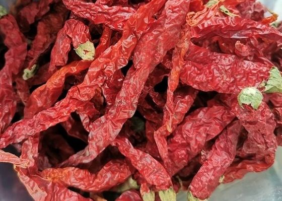 Spezie materiali asciutte di Chili Hot Pot Seasoning Raw del pepe del miglio di Guizhou Mantianxing