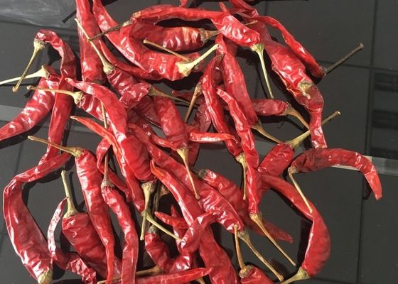 Nuovo iso di HACCP di FDA del raccolto dei peperoncini rossi rossi rossi di Yidu Chili Tianying Jinta Chili American CASCER