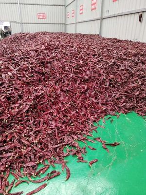 Grado A Guajillo secco Chili intero / bastone Impurità 0,3% Grado massimo 10-15cm