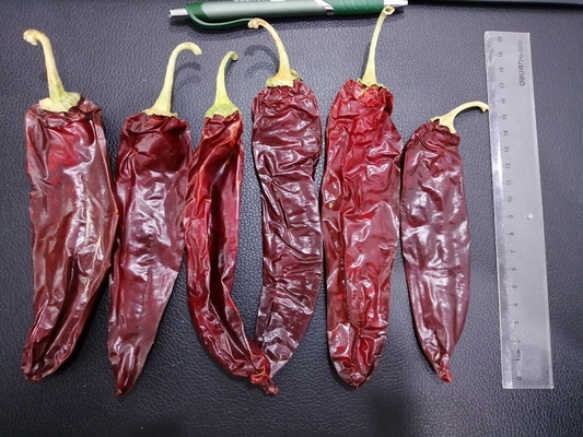 I peperoncini rossi la California hanno asciugato Guajillo che Chili Big Size Picked By passa il rosso naturale