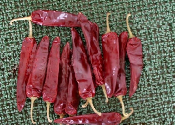 I peperoncini rossi di Jinta secchi marinate hanno asciugato la paprica calda dei peperoni