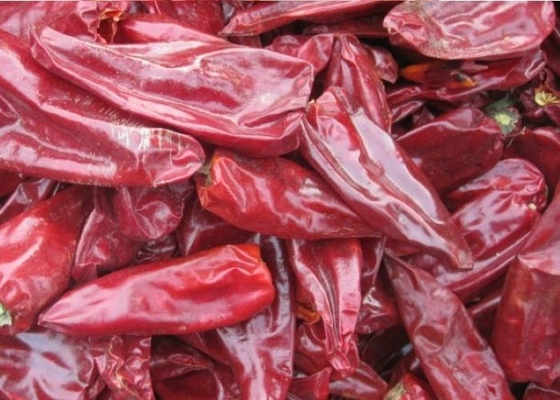 8000 peperoncini rossi di Beijinghong Jinta del pepe di SHU Natural Yidu Chili Red