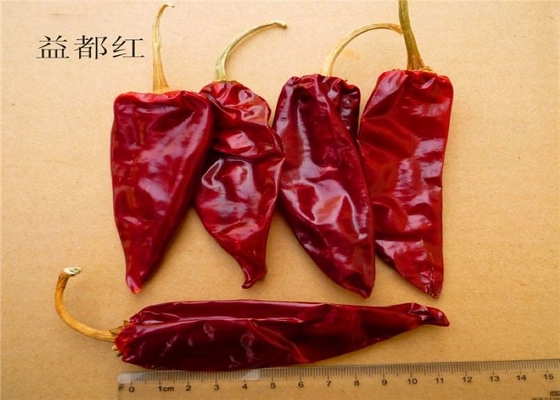 Fabbrica di pepe rosso secco Fornisce Yidu Chilli con Stem / Stemless