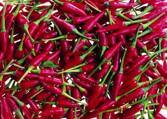 Il peperoncino rosso schiacciato piccante caldo spolverizza 60 la maglia 120 ASTA