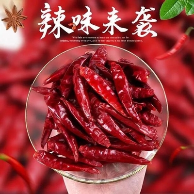 Tientsin Tien Tsin Dried Red Chilli pepa per la cottura dell'ingrediente