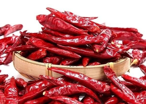 I peperoni di Tien Tsin Dried Red Chilli per Szechuan disegnano la cottura del Kung Pao Ingredient