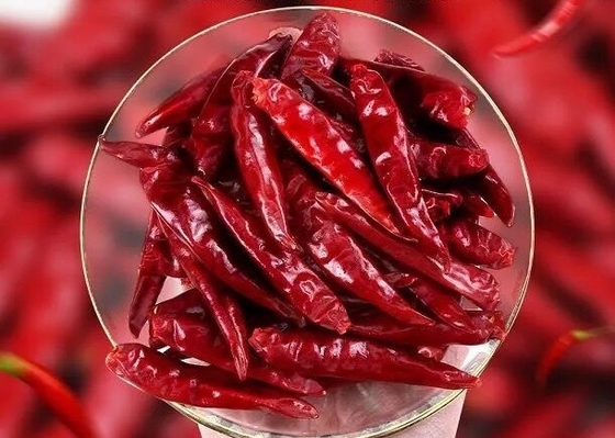 Chaotian ha asciugato gli interi peperoncini rossi rossi Tientsin Chili Dehydrated dei peperoncini rossi rossi