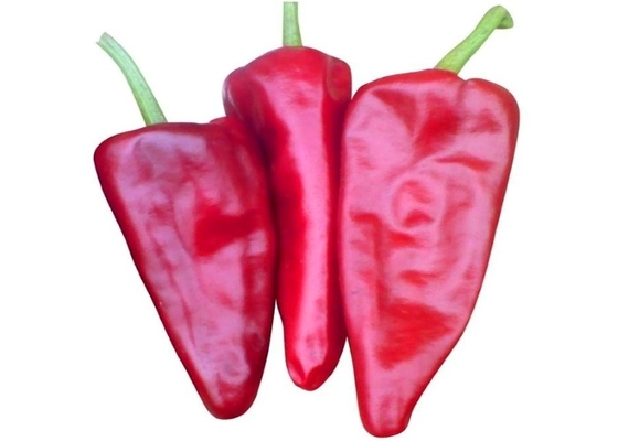 Con culinario/senza di Yidu Chili Red Pepper Crushed Powder 8-15 cm gambo
