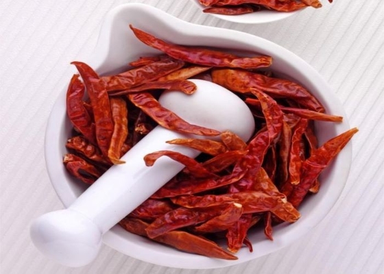 I peperoncini rossi secchi delicati non irradiati 4-7 cm hanno cotto a vapore l'umidità di meno di 11%
