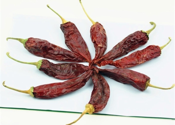 Red Jinta Chilli Pepper Fruity Aroma fumoso 8%-12% Umidità 10-15 cm