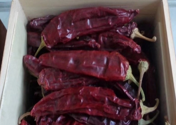 Chili Guajillo intero con/senza stele 500SHU Rosso forte Sapore piccante di chili