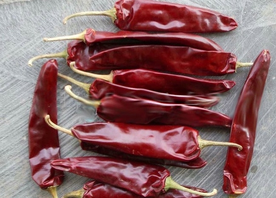 Umidità disidratata Guajillo rosso Chili Pepper Sweet Cherry di 15%