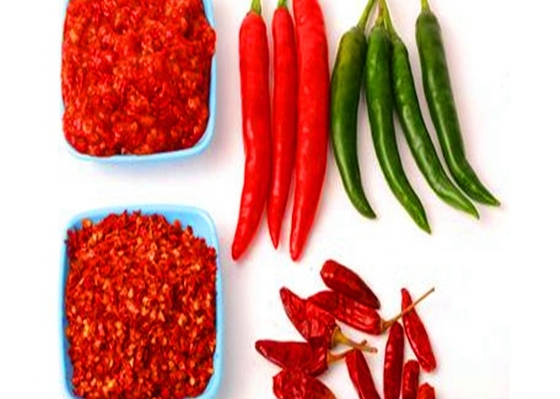 20000 SHU Dried Chinese Chilis Vacuume che imballa i peperoncini rossi piccanti Tientsin/di Chaotian