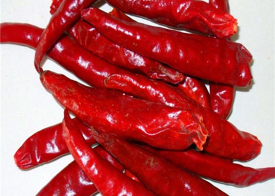 20000 SHU Dried Chinese Chilis Vacuume che imballa i peperoncini rossi piccanti Tientsin/di Chaotian