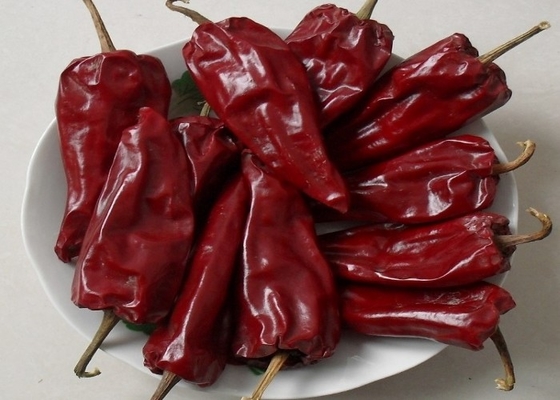 Fabbrica di pepe rosso secco Fornisce Yidu Chilli con Stem / Stemless