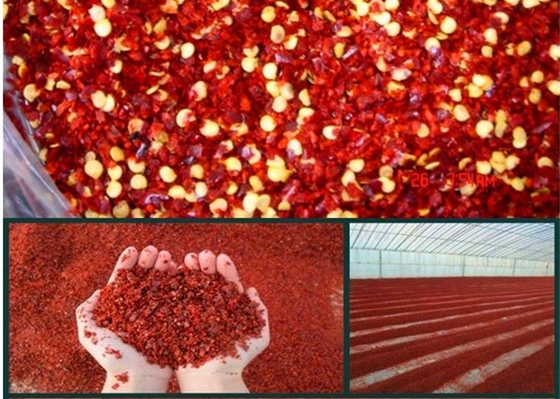 Maglia piccante schiacciata rossa dei fiocchi 40.000 SHU 5-8 dei peperoncini di Tientsin Yidu Jinta