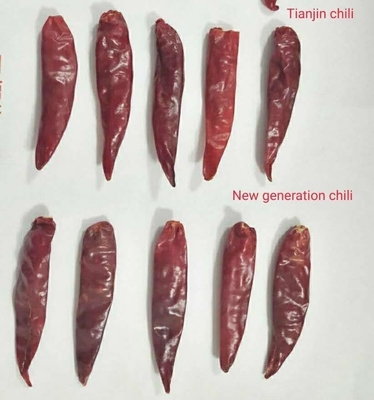 20.000 SHU Dried Chaotian/peperoncini rossi di Sanying per la cottura di cucina