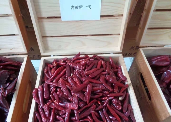 Il cinese Stemless Chaotian Szechuan ha asciugato i peperoncini rossi alto SHU