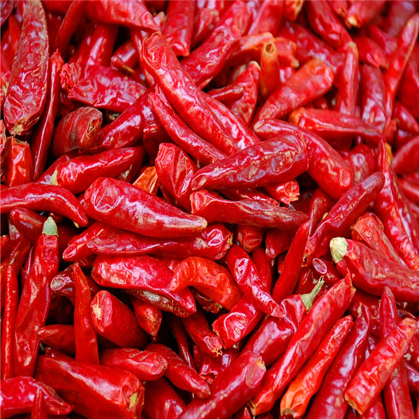 Peppe rosso secco intero con ingredienti senza stamina aggiungere un po'di spezia ai vostri pasti