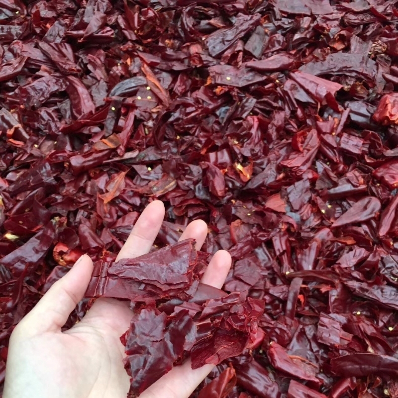 Guajillo rosso chile anello tagliato 1,5 cm per cucinare e aromatizzare i piatti