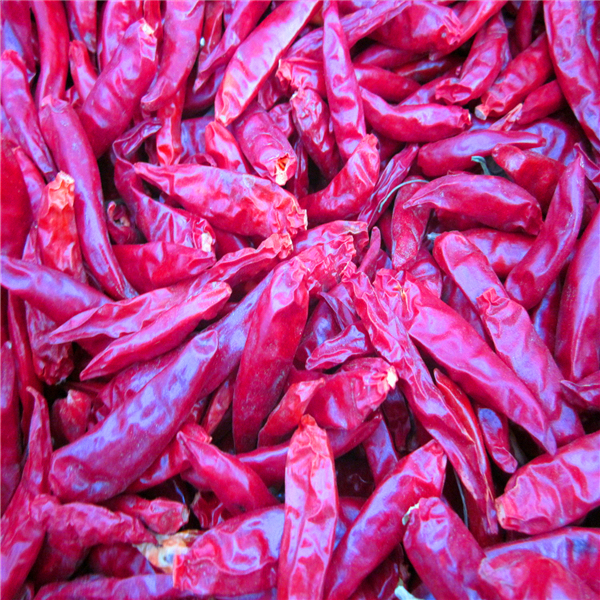 4-7cm Cayenne Pimentoni rossi secchi Condizioni di conservazione Luogo fresco e asciutto