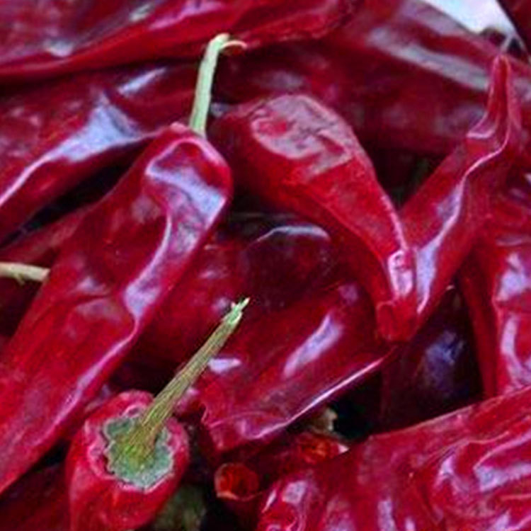 10 kg/sacco di peperoni rossi secchi con potenza e peperoni senza fusto o tagliati