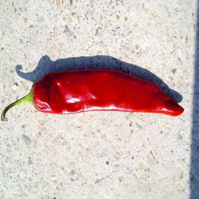 Paprika grossa con gusto di peperoncino intenso, colore rosso ricco e umidità 8-12%