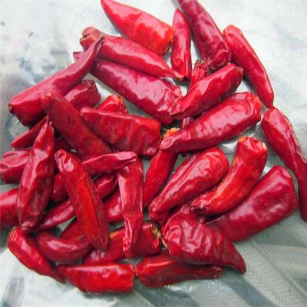 20000-30000SHU Bulleto rosso caldo Chili Piccole erbe uniche Spezie per i mercati dei paesi