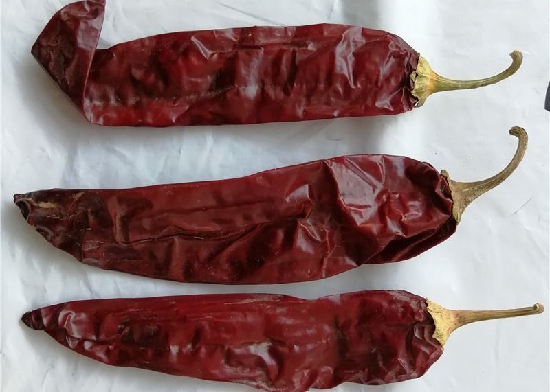 1 anno di durata di conservazione Paprika dolce peperoncino secco Additivo di peperoncino rosso per ingredienti alimentari di alta qualità